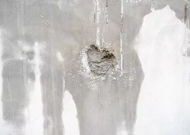 Your Mold Mitigation Solutions Partner in Tucker, GA