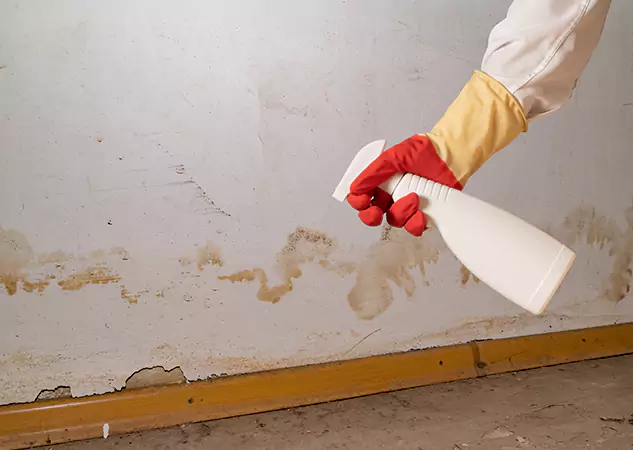 Your Water Restoration and Mold Remediation Specialists in Tucker, GA
