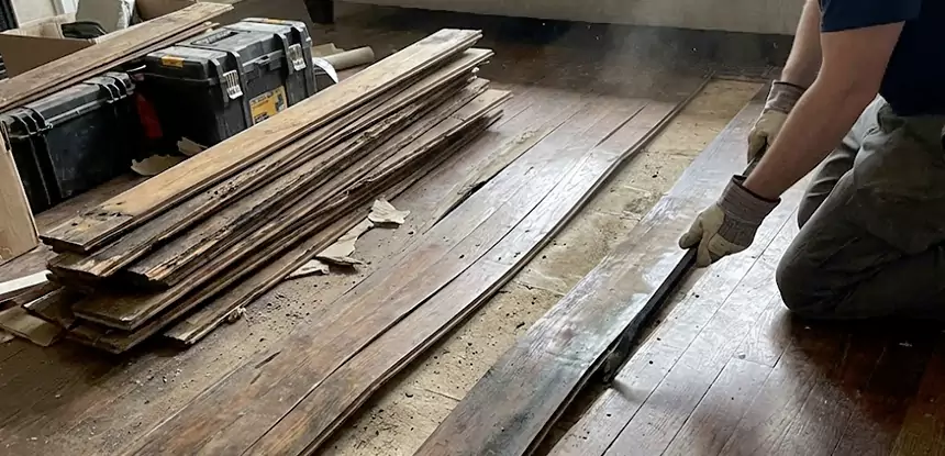 Wood Rot and Fungus Repair in Tucker