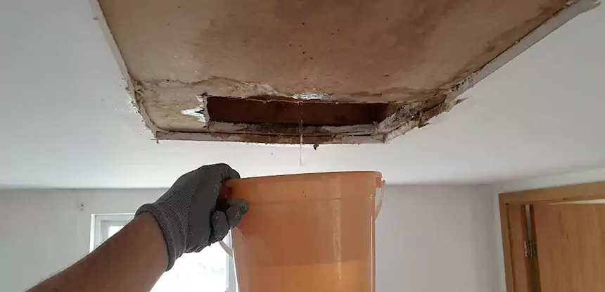 Ceiling Mold Repair Tucker