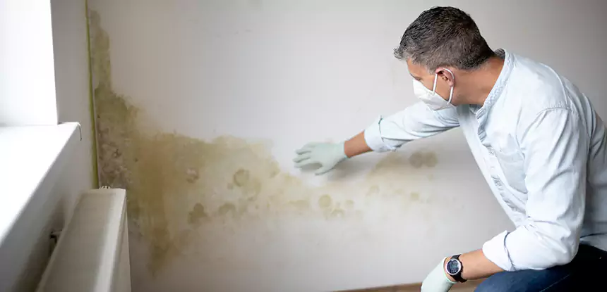 Mold and Water Damage Repair in Tucker
