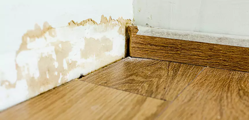 Professional Fix Water Damaged Wood Services in Tucker, GA