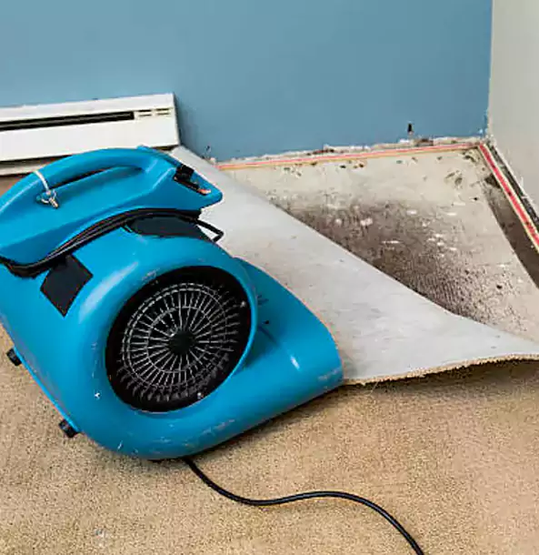 Why Tucker Trusts Tucker Restoration Pro for Carpet Flood Recovery?