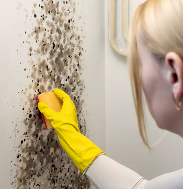 Why Tucker Restoration Pro Leads Mold Remediation in Tucker?