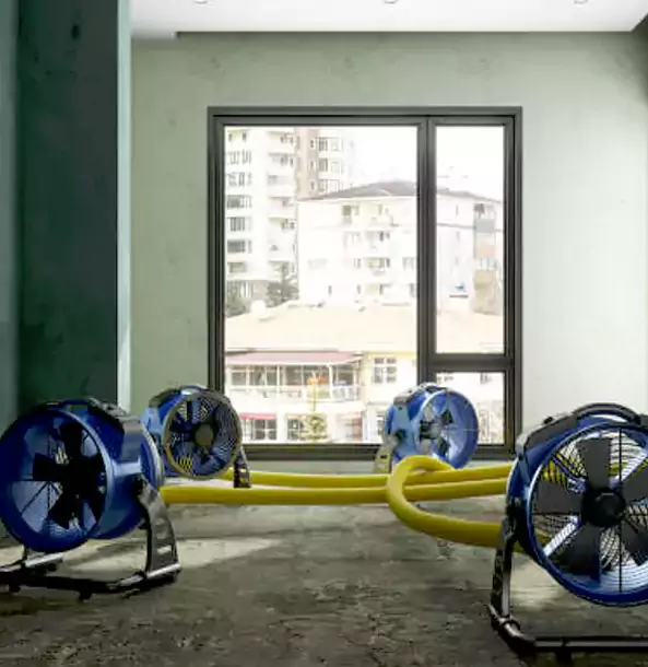 Why Tucker Property Owners Trust Tucker Restoration Pro for Water Damage Drying?