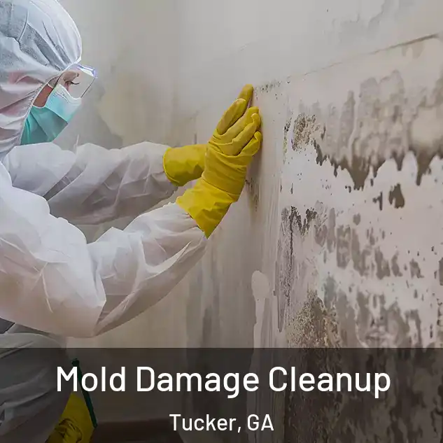  Mold Damage Cleanup Tucker, GA