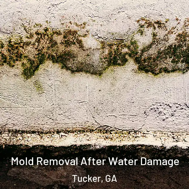  Mold Removal After Water Damage Tucker, GA
