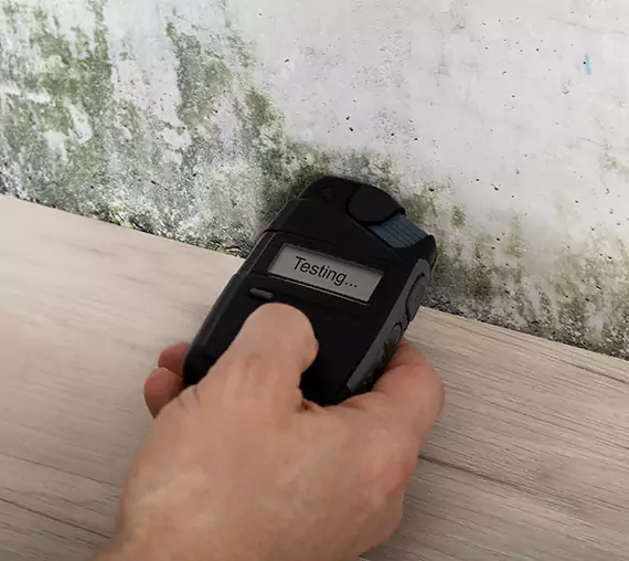 Mold Remediation Service Tucker