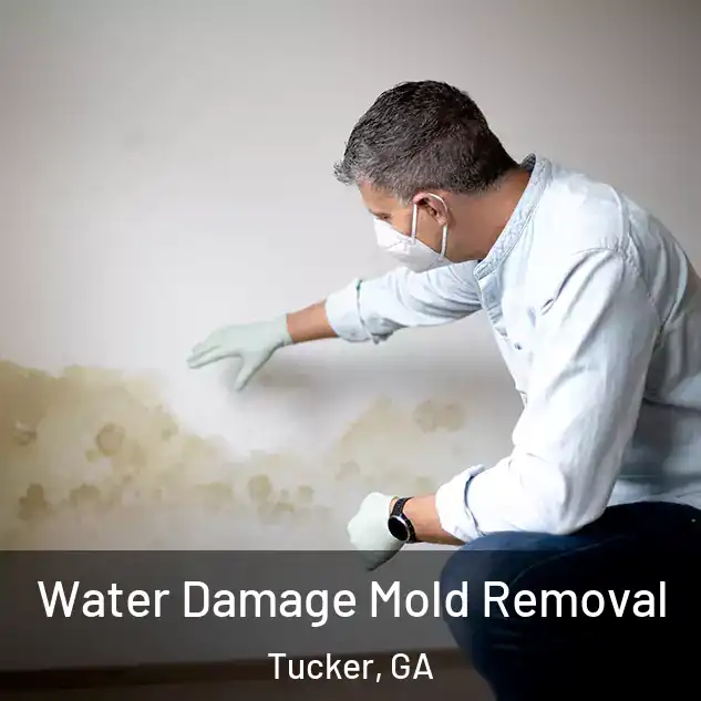  Water Damage Mold Removal Tucker, GA