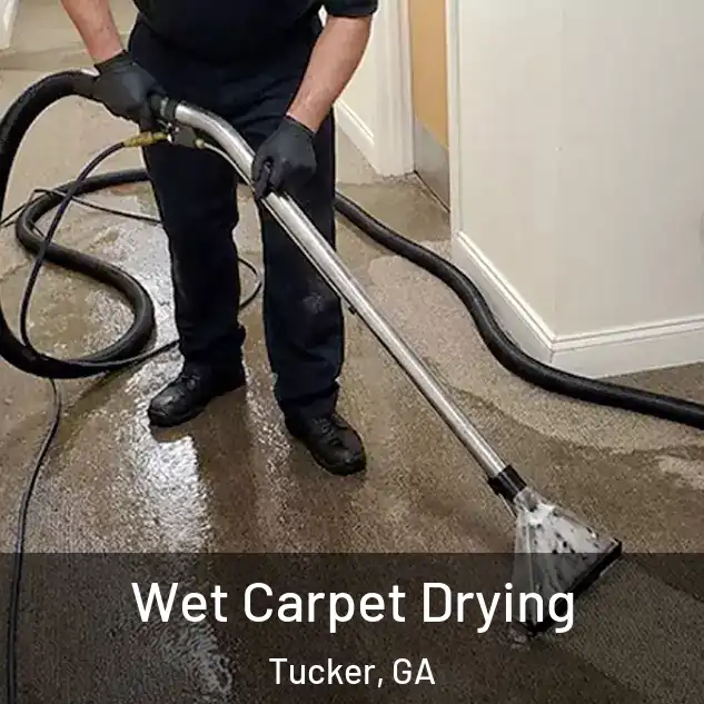  Wet Carpet Drying Tucker, GA