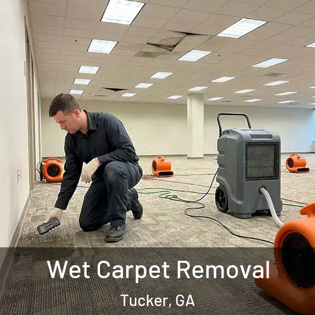  Wet Carpet Removal Tucker, GA